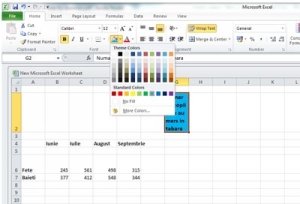 42. Butonul şi panelul de culori afişate în imaginea de mai jos a unei pagini de lucru din aplicația Microsoft Excel ne permit: