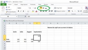 66. Ȋn aplicaţia Microsoft Excel, butoanele încercuite cu verde în imaginea alăturată ne ajută să: